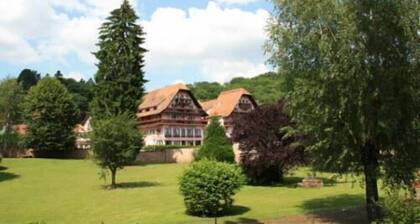 Hotel des Vosges