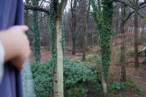 Deluxe Suite, 1 Double Bed | View from room