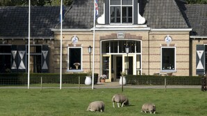A building with a sign reading "de OORSPROOG" and a date "1885" on the facade. There are three sheep grazing in front of the building. - Hotel de Oorsprong (Sint Nicolaasga)