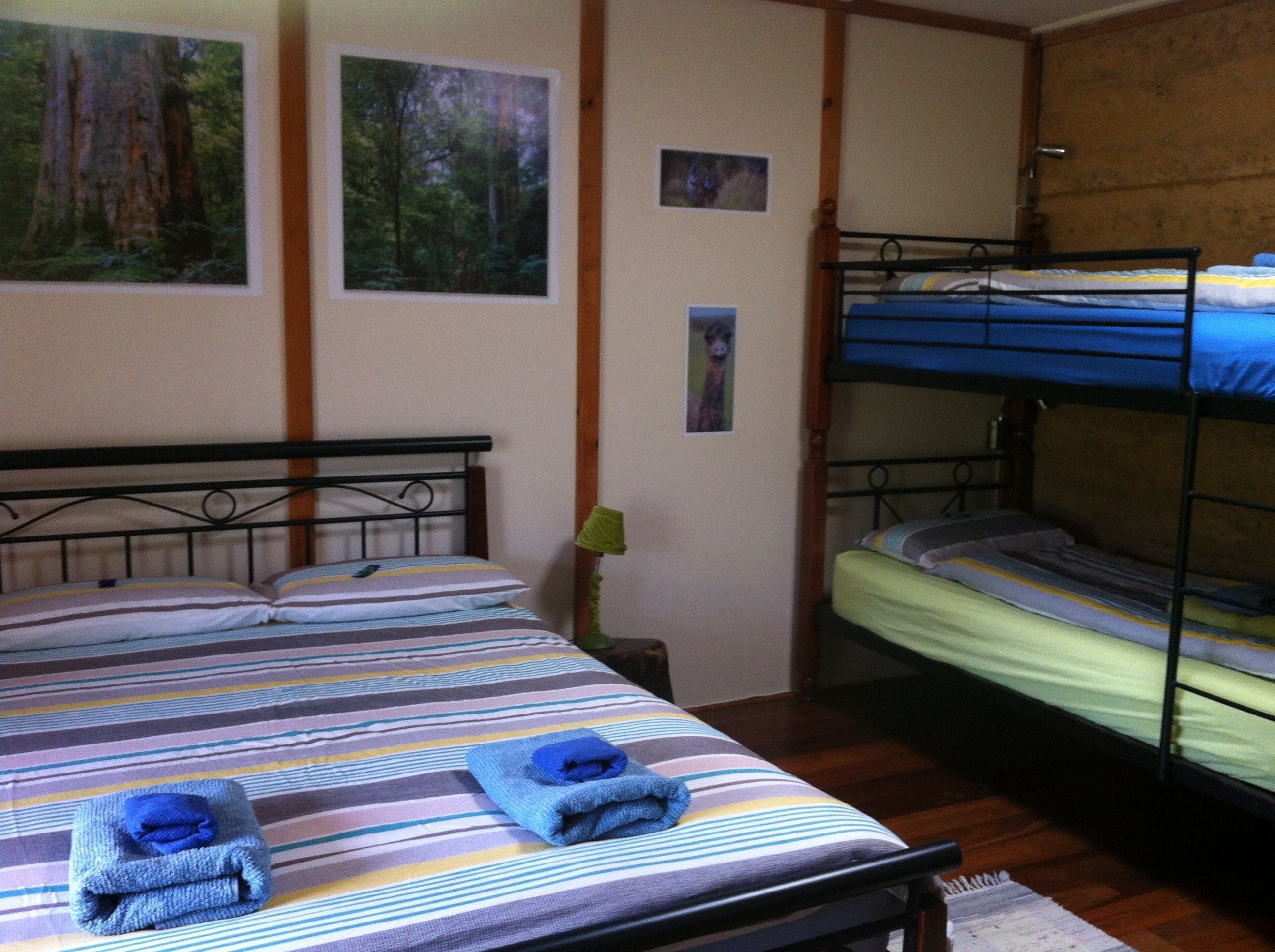 A room with a bunk bed, a single bed with striped bedding, and two framed pictures on the wall.