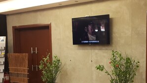 Un hall d’entrée avec un téléviseur fixé au mur, deux plantes en pot, un extincteur et une porte en bois.