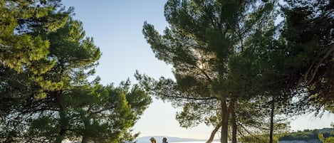 Two people on bicycles near a body of water, surrounded by trees.