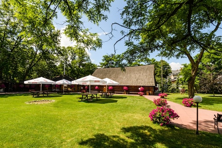 Áreas de la propiedad. Hotel Boss