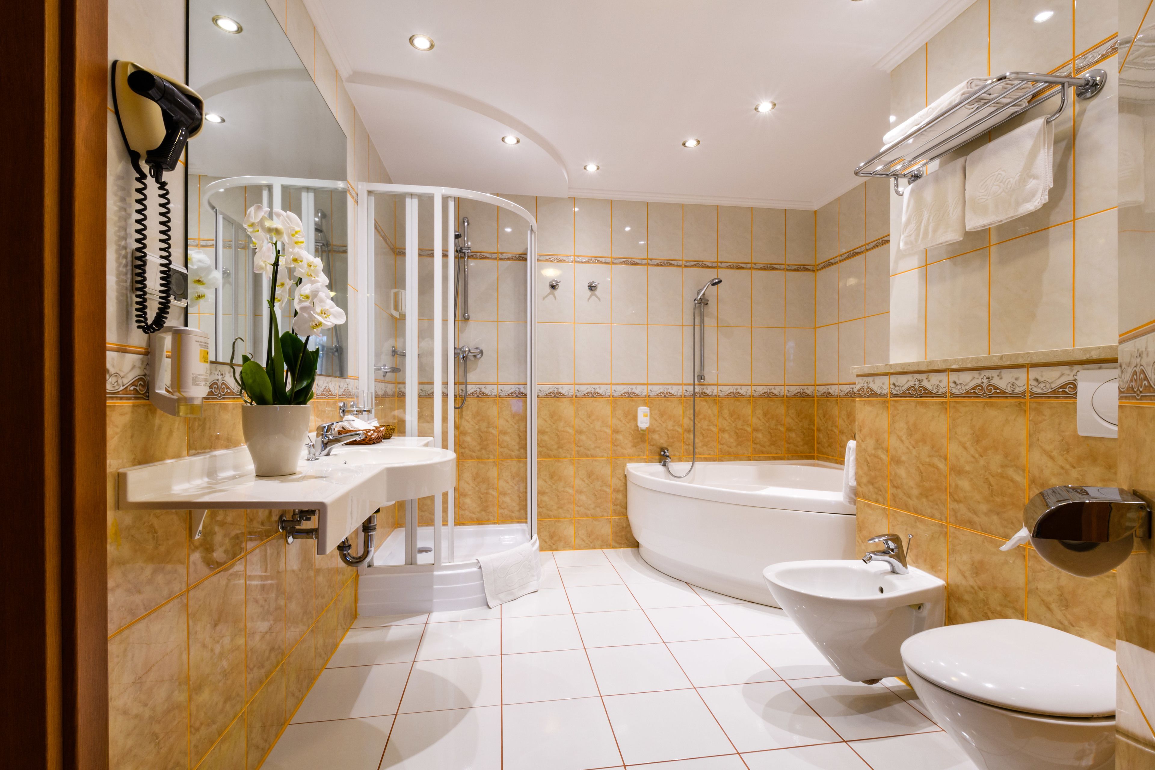 standard apartment, 1 double bed with sofa bed | bathroom | free toiletries, towels