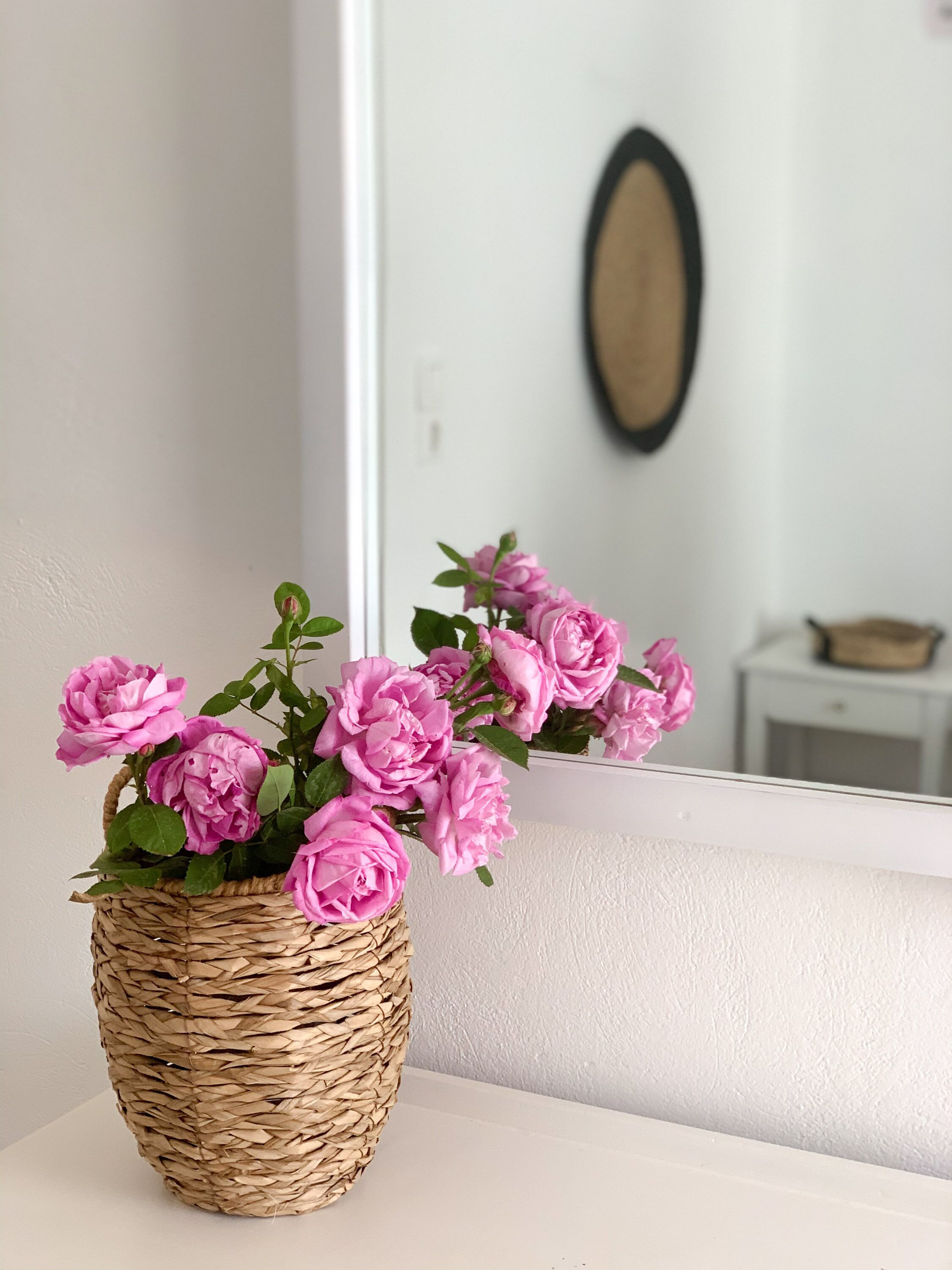 standard room, garden view | free wifi