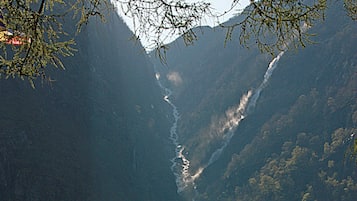 Basic Cabin, Refrigerator (No Bed Linen or Breakfast Included) | Nôi (giường cho trẻ sơ sinh) miễn phí