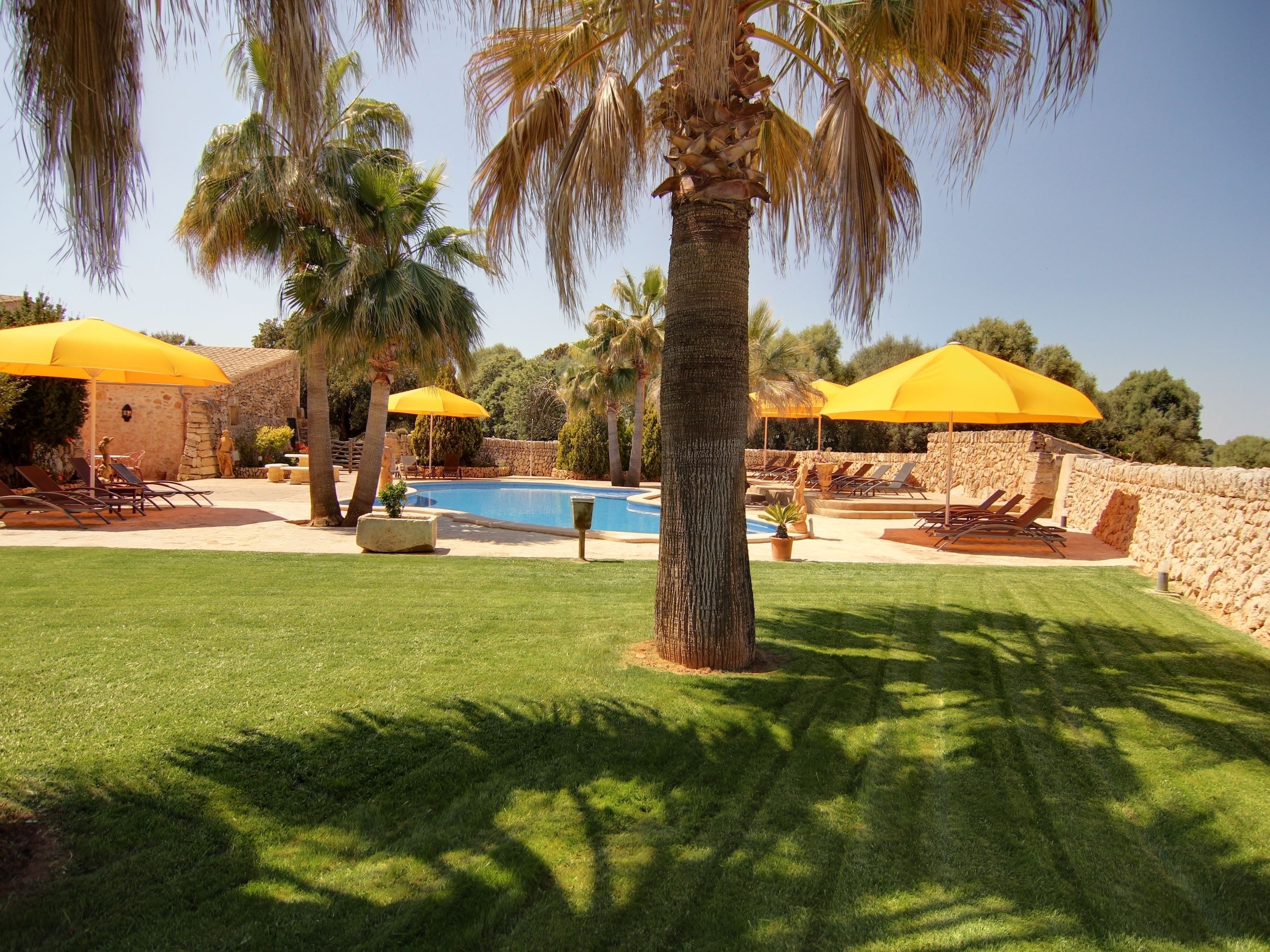 Foto - Puig de Ros d’Alt