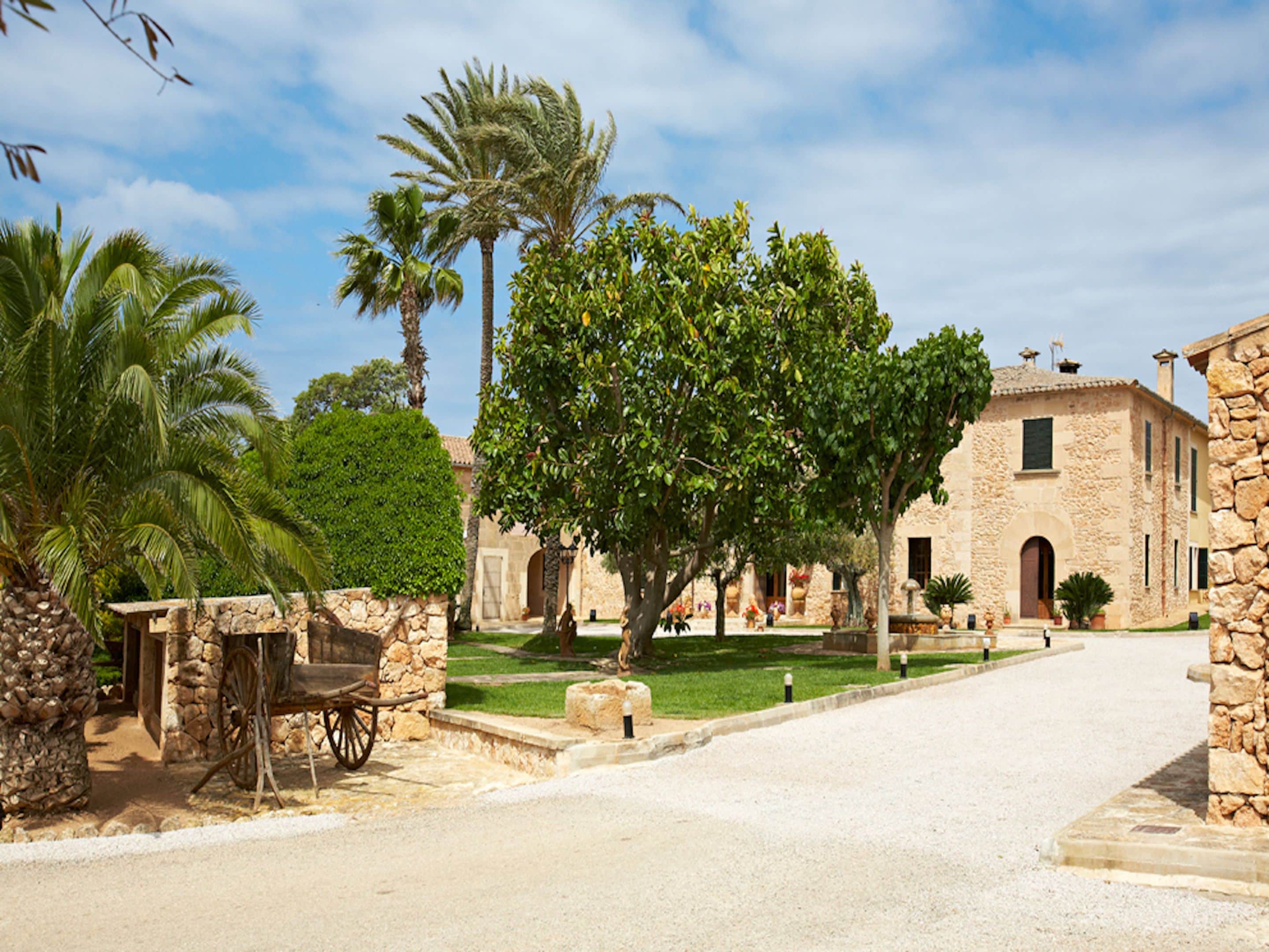 Foto - Puig de Ros d’Alt