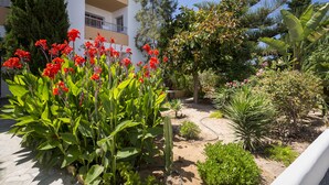 A garden with red flowers, a palm tree, and a building with balconies. - Zodiac Apartamentos (Sant Josep de sa Talaia)