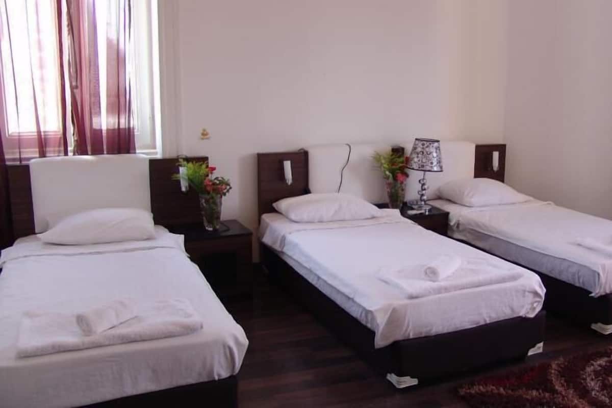 Triple Room | Iron/ironing board, rollaway beds, free WiFi, bed sheets