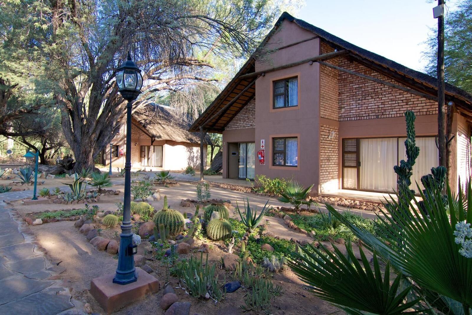 Un edificio con fachada de ladrillo, múltiples ventanas y un jardín con cactus y otras plantas del desierto.