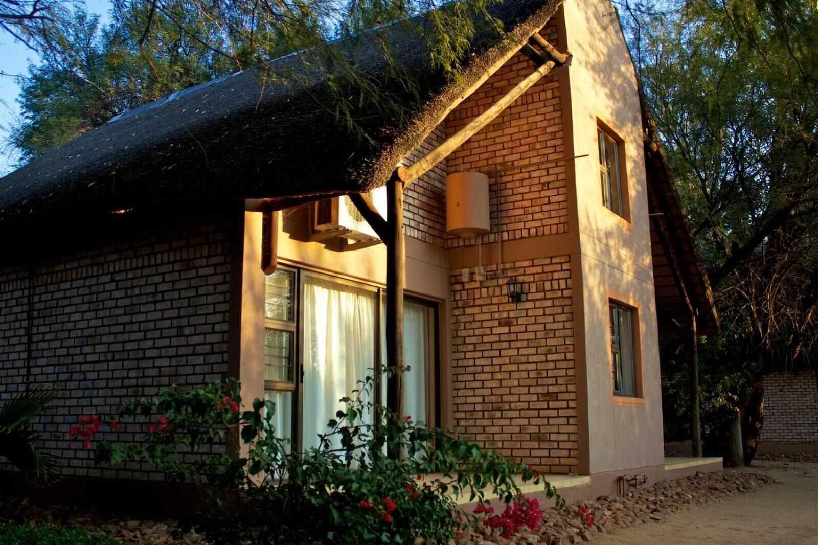 A brick house with a thatched roof, large windows, and a garden with red flowers.