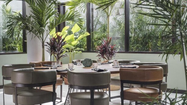 A dining area with a round table, multiple chairs, and various plants.