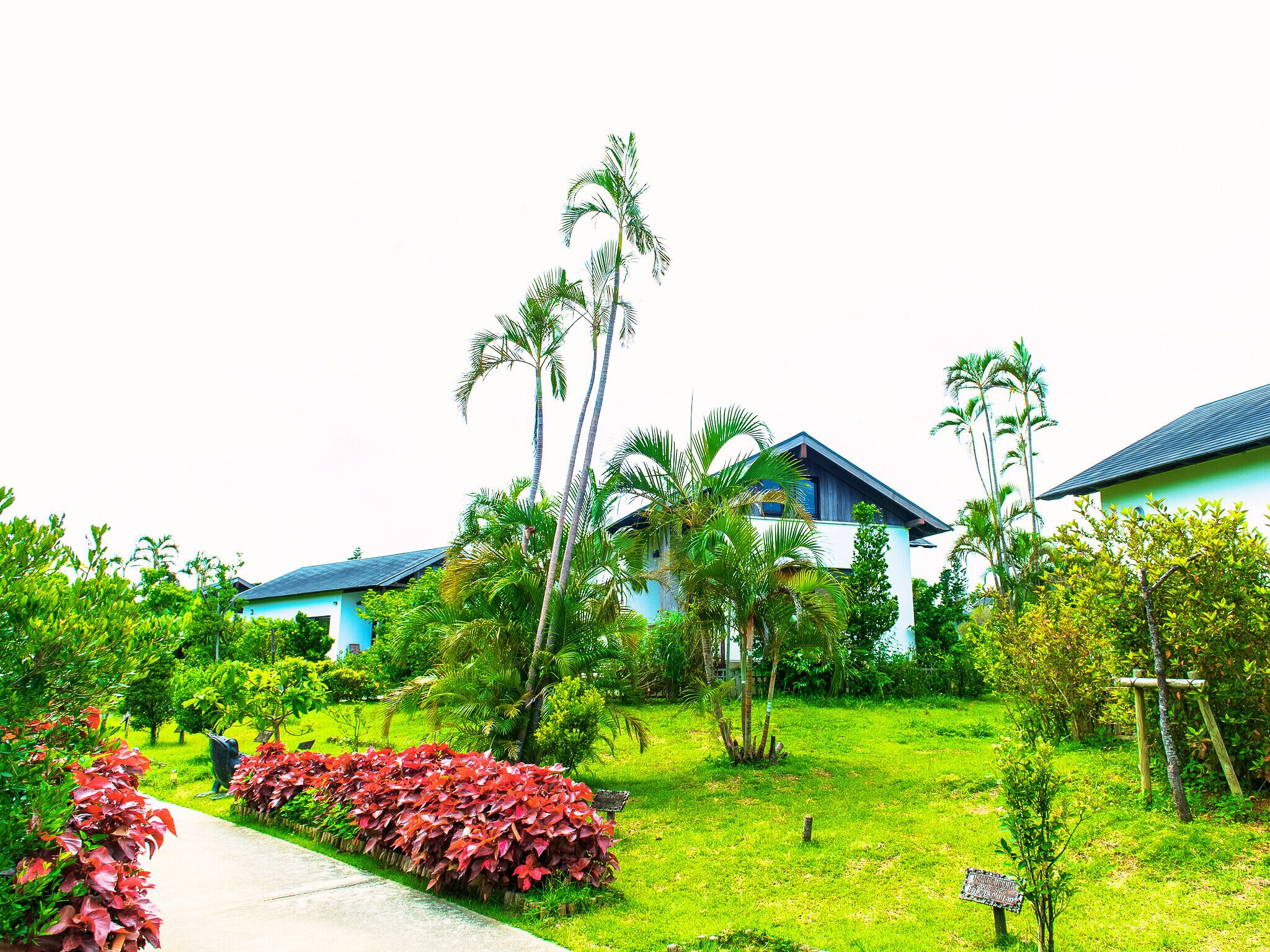 Un resort tropical con edificios modernos, exuberante vegetación y un jardín bien cuidado.