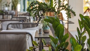 Un interior de restaurante con sillas de mimbre, una mesa con salero y un florero decorativo, y plantas en macetas.
