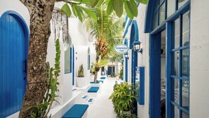 Un couloir étroit avec des portes et des fenêtres bleues, des plantes en pot et une enseigne indiquant le « Café Bombora ».