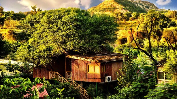 A rustic wooden cabin with a balcony, surrounded by lush greenery and a mountain backdrop. - The Tree House Resort (Amer)