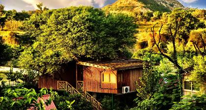The Tree House Resort