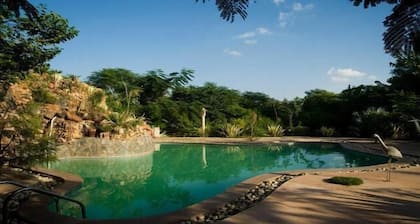 The Tree House Resort