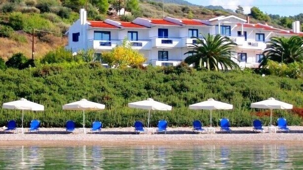 Un hôtel en bord de mer doté de nombreux balcons, d’un espace piscine agrémenté de parasols et de chaises, et d’une végétation luxuriante en arrière-plan.