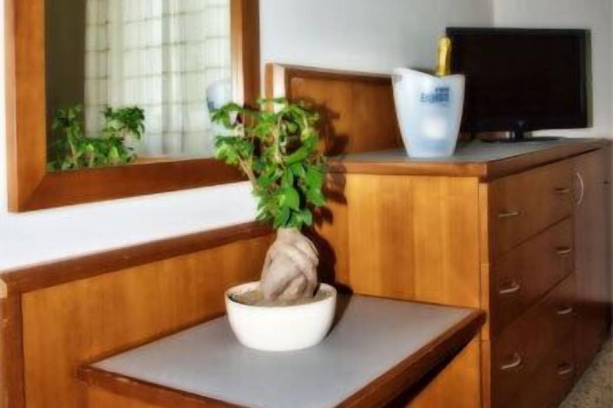 Un aparador de madera con un televisor encima, un espejo sobre él y una planta en maceta en el aparador.