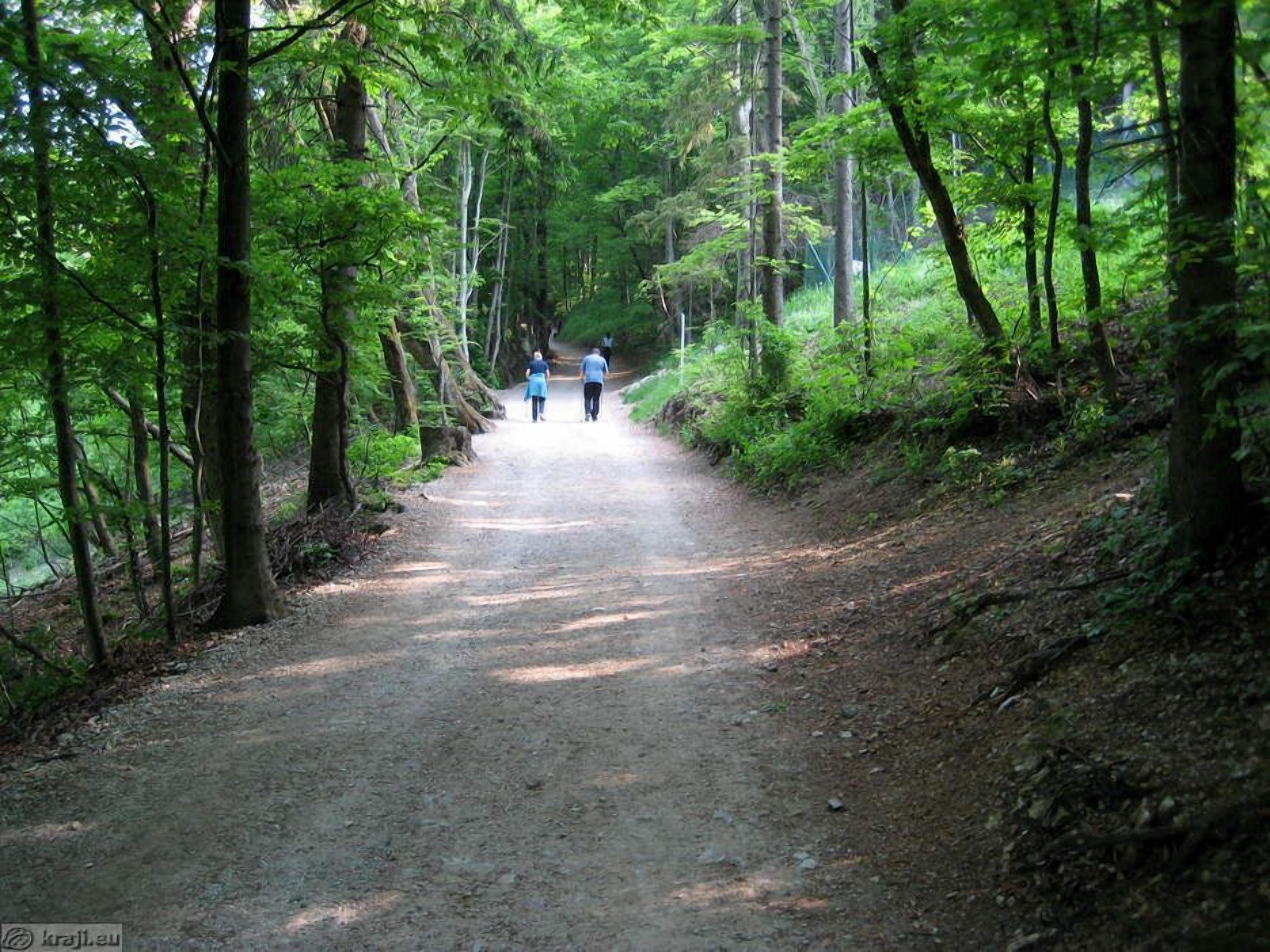 Photo - B&B Dvor Tacen