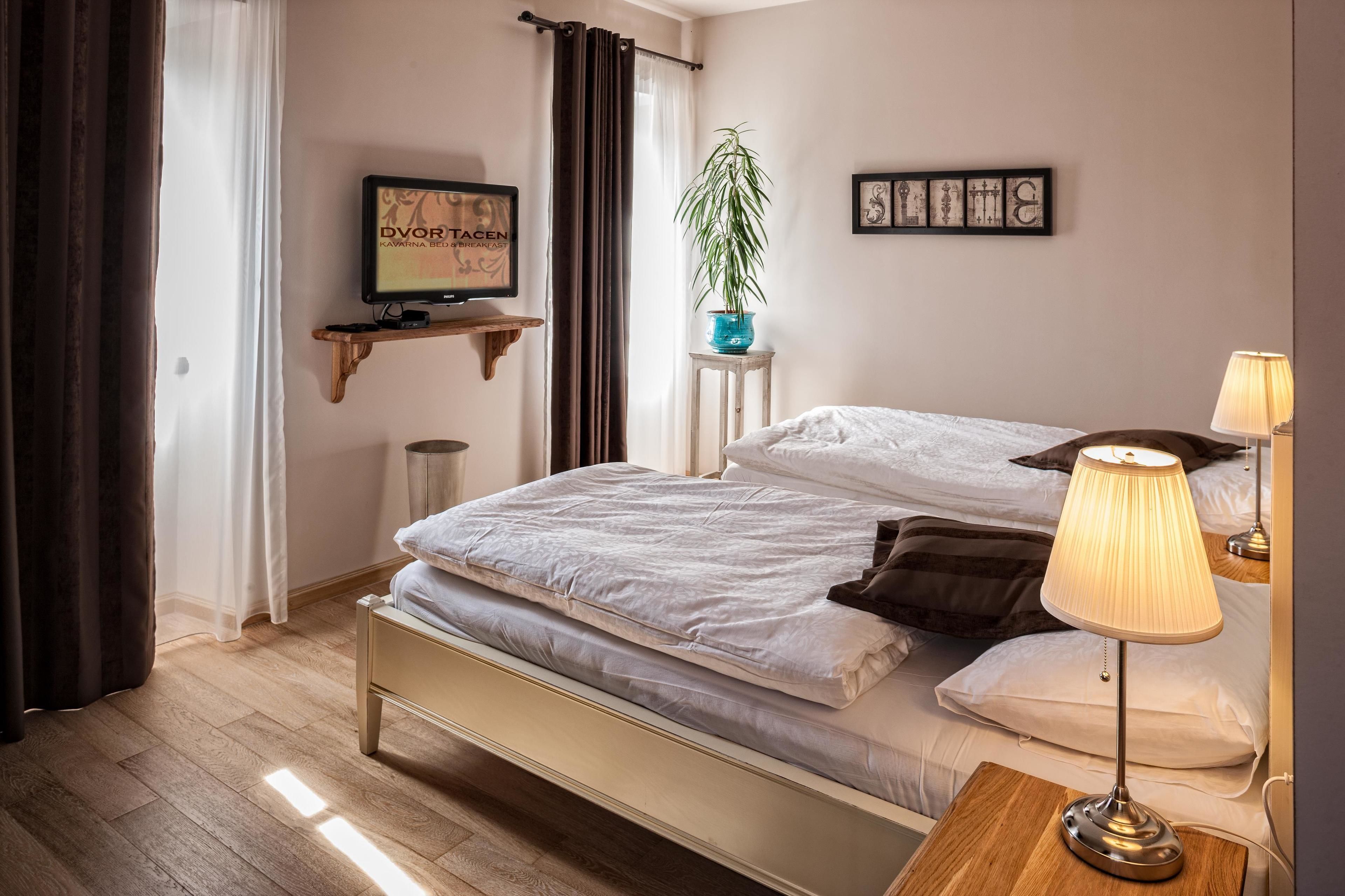 Un dormitorio ordenado con cama, lámparas de noche, televisor, planta y obra de arte en la pared.