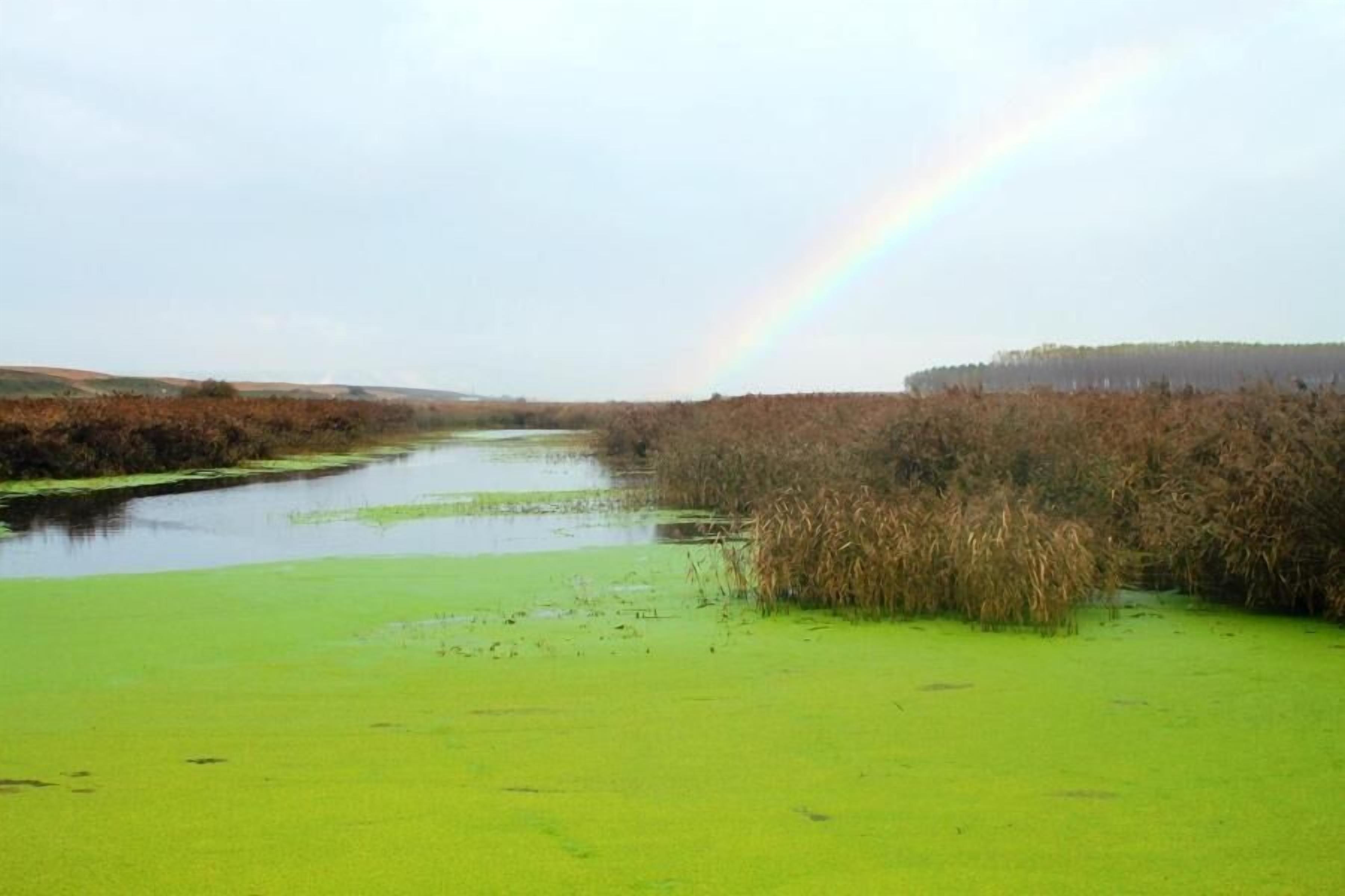 Foto - Hospedería de Alesves