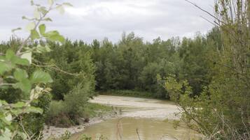 Un río serpentea a través de una zona boscosa con árboles y vegetación densa a ambos lados.