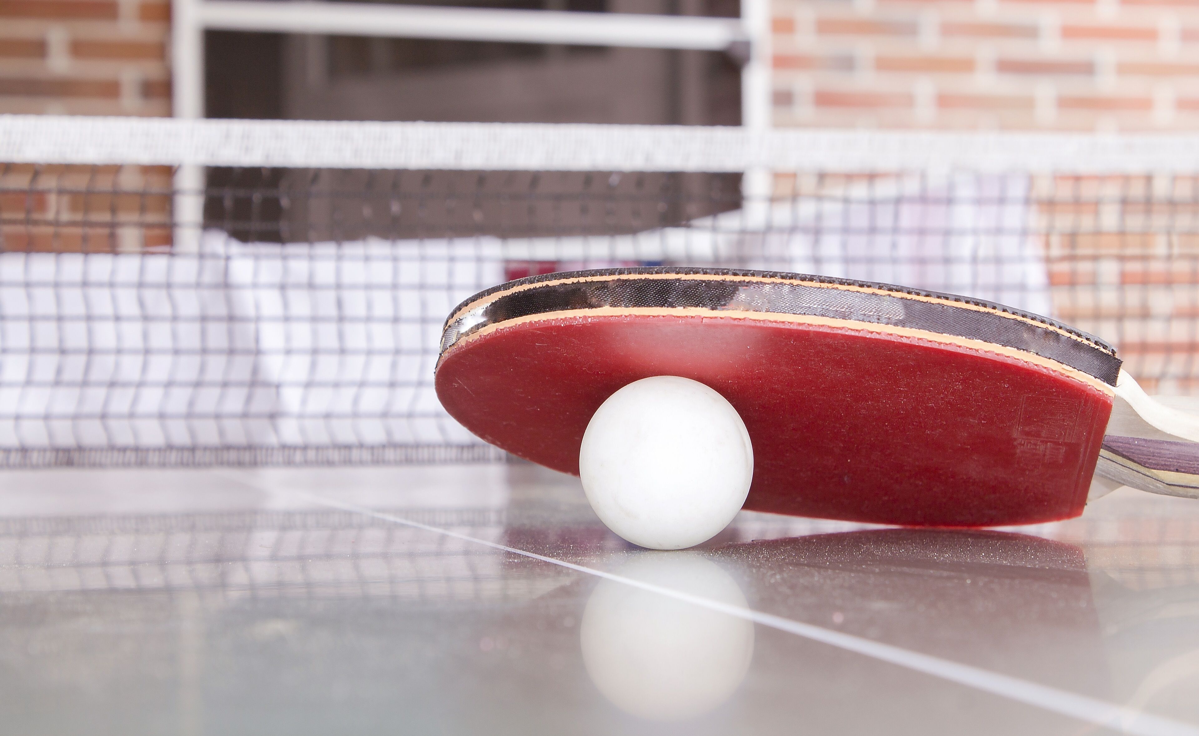 A table tennis table with a net and a paddle with a ball.