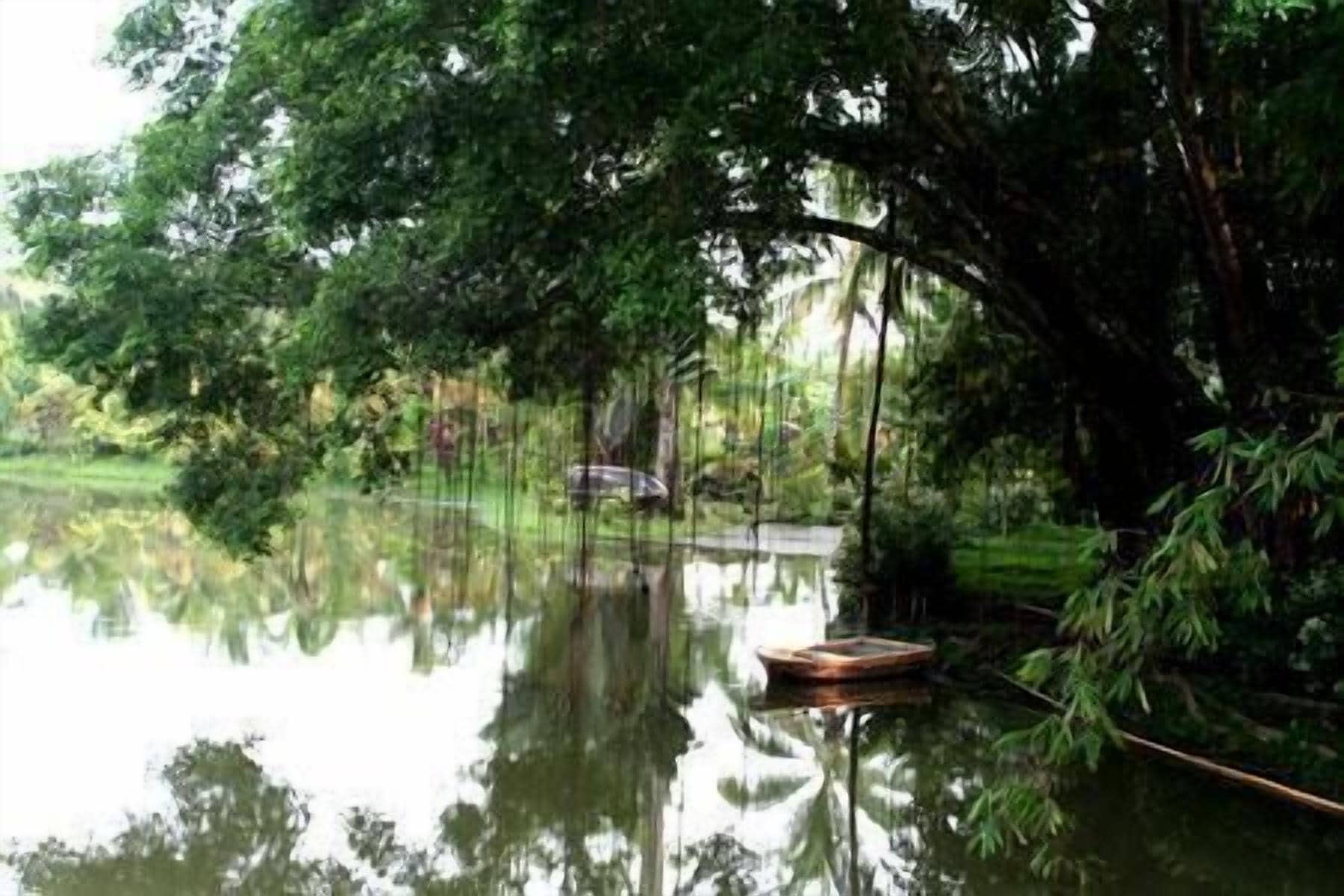A calm lake with a boat in the foreground, surrounded by dense greenery and trees reflecting on the water's surface.