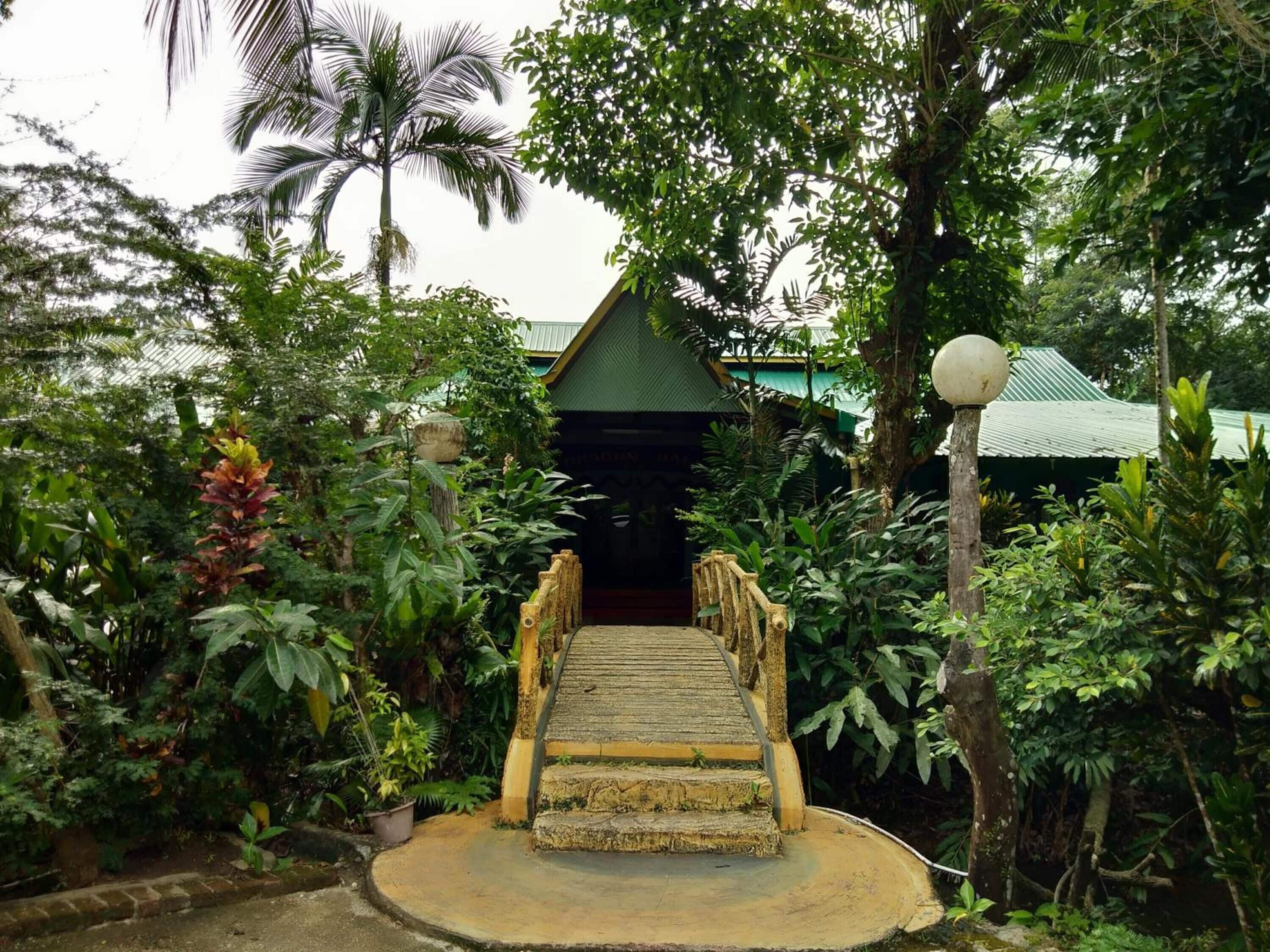 Un escalier en bois mène à un bâtiment traditionnel surmonté d’un toit végétalisé, le tout étant entouré d’une végétation tropicale luxuriante.