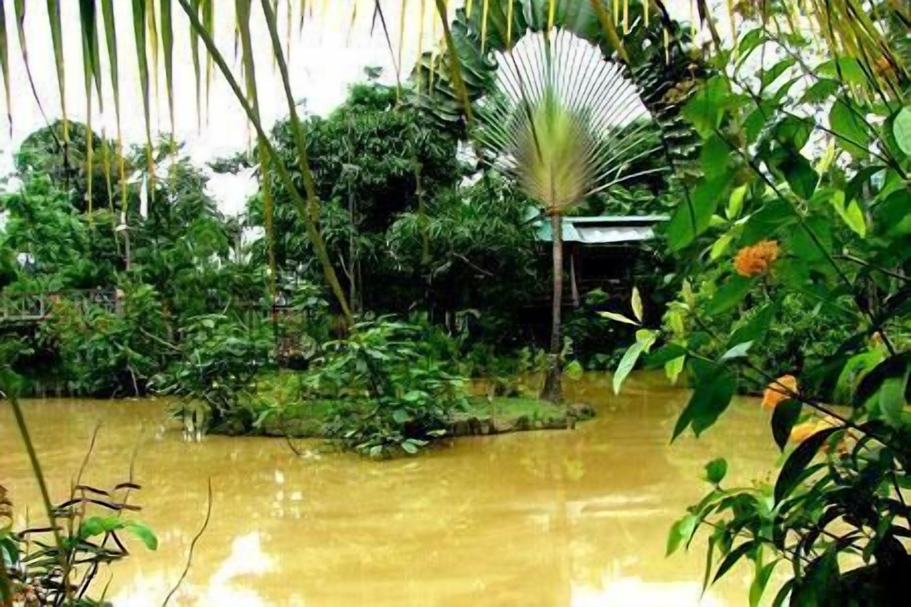 Un exuberante jardín con diversas plantas y un elemento acuático.