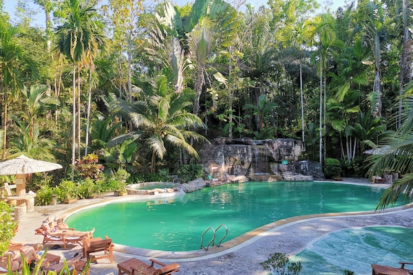 Outdoor pool, sun loungers