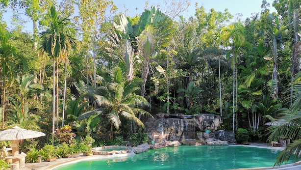 Une piscine entourée d’une végétation tropicale et agrémentée d’une cascade.