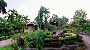 Un jardin tropical avec un étang, des structures en pierre et une végétation luxuriante.