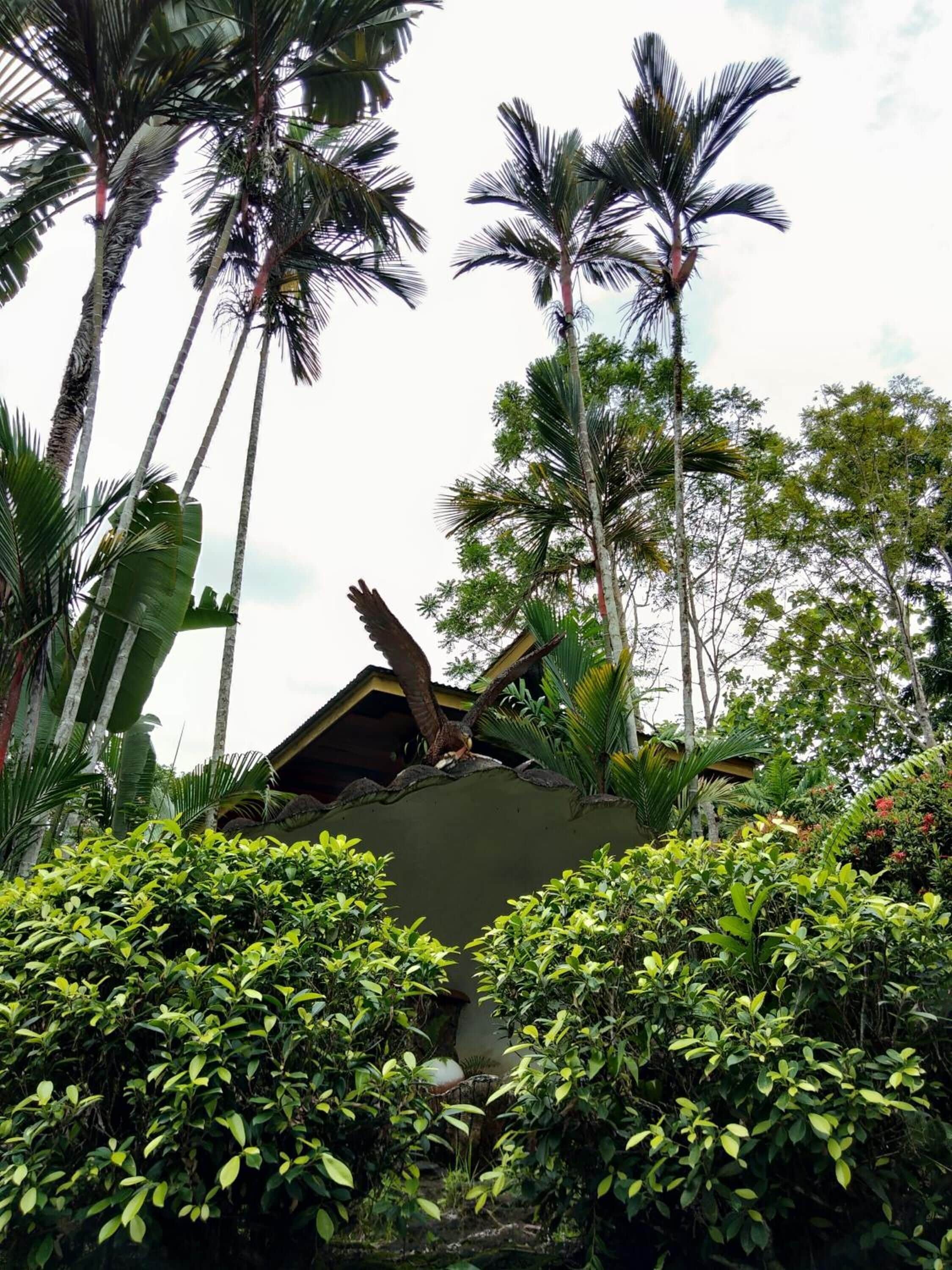 Un jardín exuberante con altas palmeras, follaje denso y un ave grande posada en una estructura.