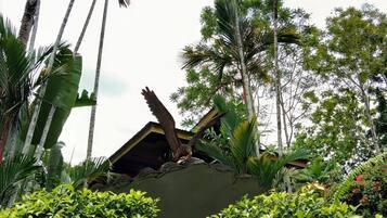A lush garden with tall palm trees, dense shrubbery, and a large bird perched on a structure.