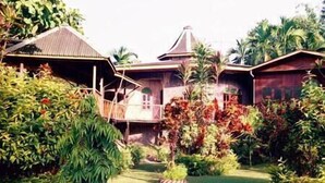 Une maison traditionnelle avec un toit en pente, entourée d’une végétation luxuriante et de palmiers.