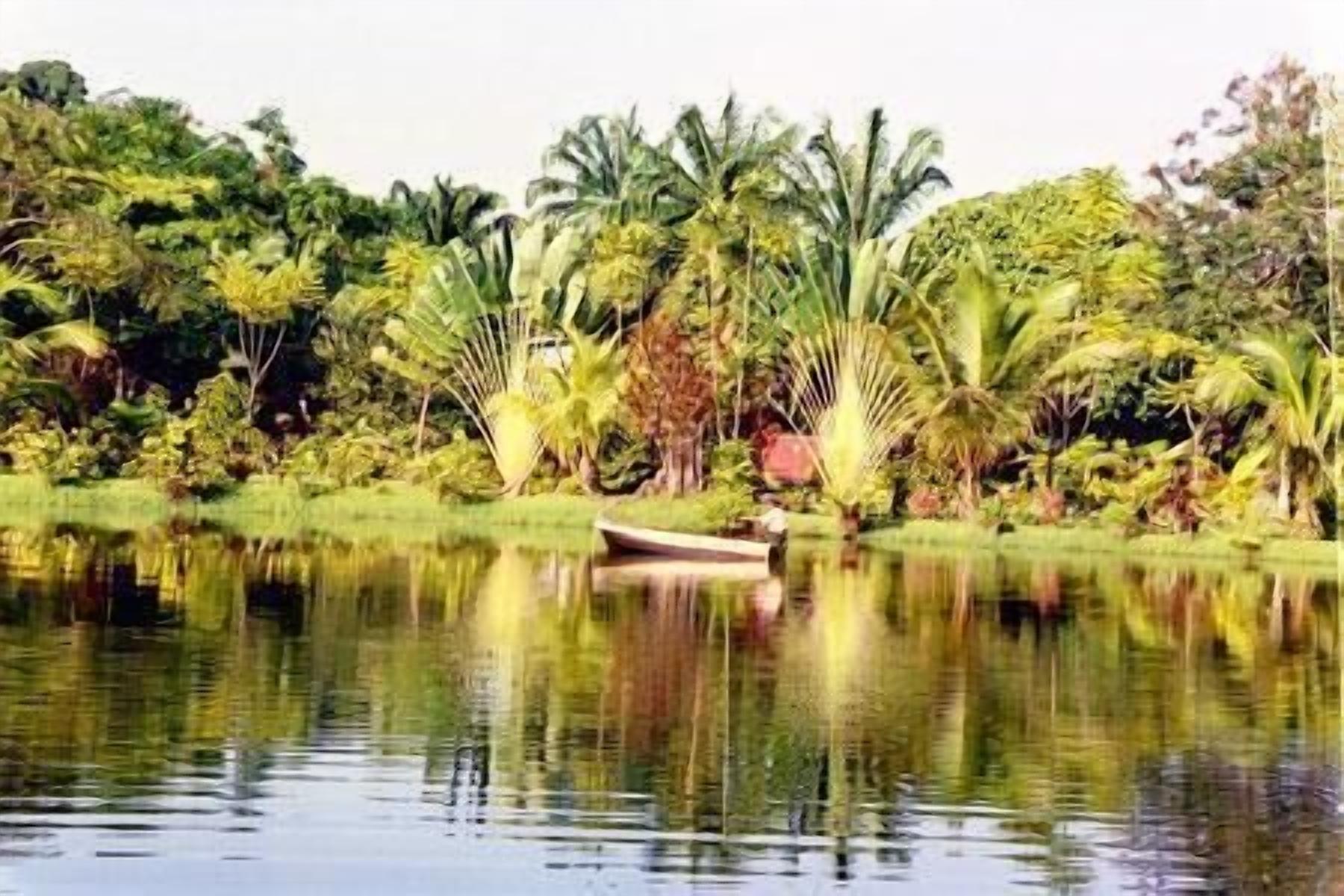 A calm lake with a boat in the foreground and lush greenery in the background.