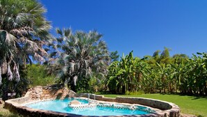 A swimming pool with a stone border, surrounded by lush greenery and palm trees. - Kunene River Lodge (Ruacana)