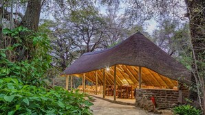 A thatched-roof structure with a stone foundation, surrounded by lush greenery. - Kunene River Lodge (Ruacana)