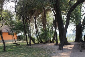 A natural setting with trees, a dirt path, and a building with a thatched roof.