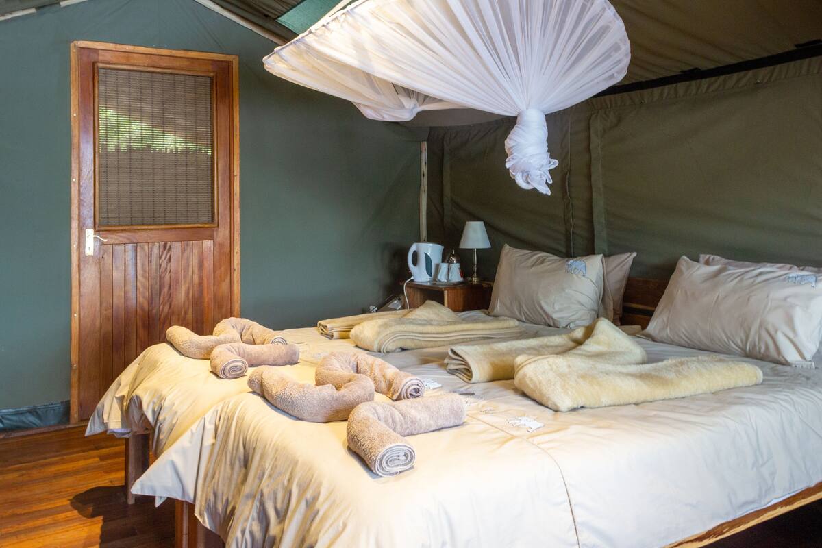 Trang trí khác biệt, trang bị nội thất với thiết kế riêng biệt 