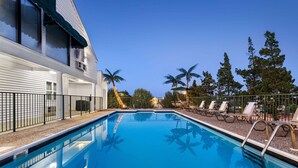 A swimming pool with lounge chairs and palm trees. - Super 8 by Wyndham Branson / Shepherd of the Hills Exwy (Branson)
