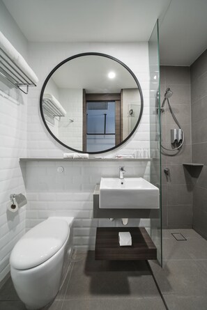 Regadera, amenidades de baño gratuitas, secadora de cabello, toallas 