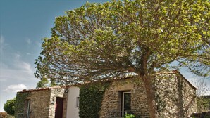 Un edificio de piedra con una puerta roja y un árbol en frente.