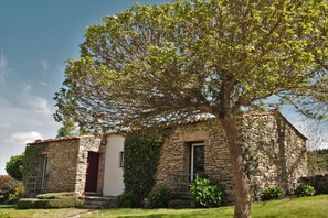 บริเวณภายนอก