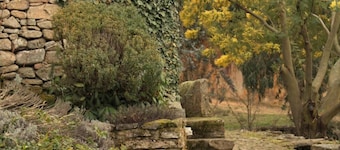 Moinhos da Tia Antoninha