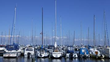 A marina with multiple boats docked.